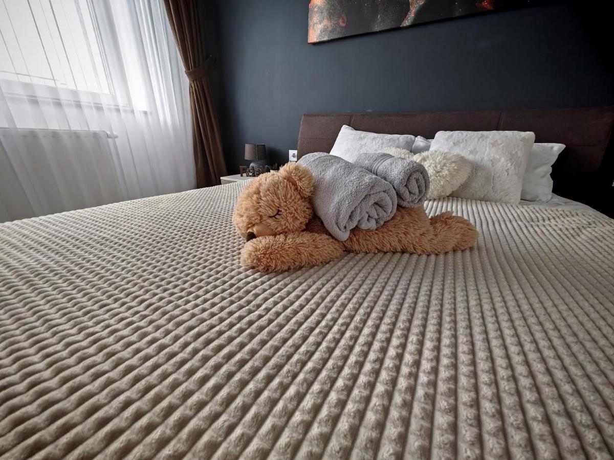 Luxurious Landing Apartment บราชอฟ ภายนอก รูปภาพ